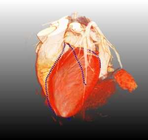 Publication cover image